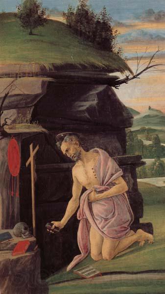 Alessandro Botticelli St.Jerome Germany oil painting art